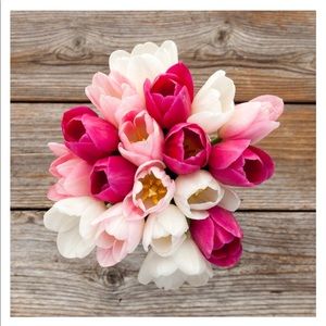 Meet your Posher, Holly